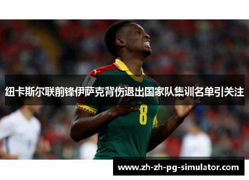 纽卡斯尔联前锋伊萨克背伤退出国家队集训名单引关注